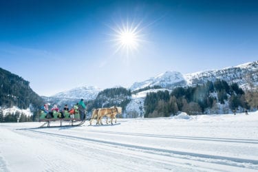 Pferdeschlittenfahrten in Obertauern – Salzburger Land