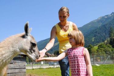 Wildpark in Untertauern, Salzburger Land